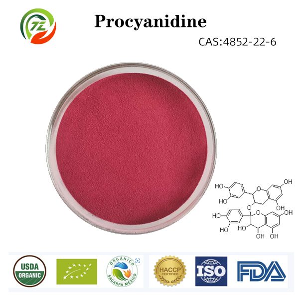 Ingrediente cosmetico OPC CAS 4852-22-6 Polvere di procianidina Estratto di mirtillo