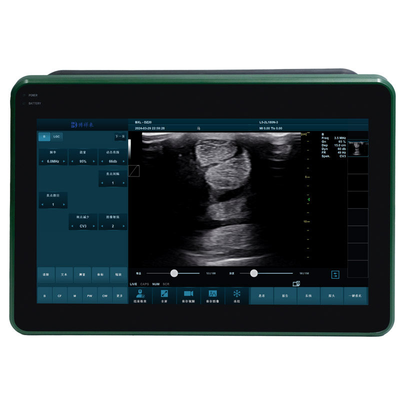 BXL-DZ20 Equine Horse Reproductive Portable Ultrasound Machine Scanner