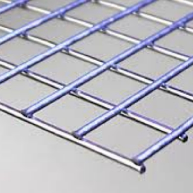 High Strength Hot DIP Galvanized Welded Wire Mesh for Poultry Breeding