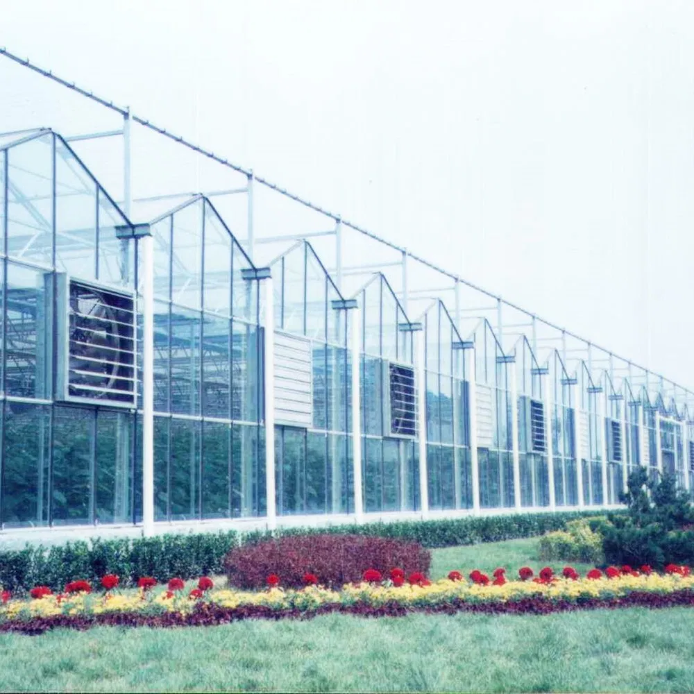 Schlüsselfertiges Glasgewächshaus mit Heizung, Bewässerung und automatisierten Steuerungssystemen