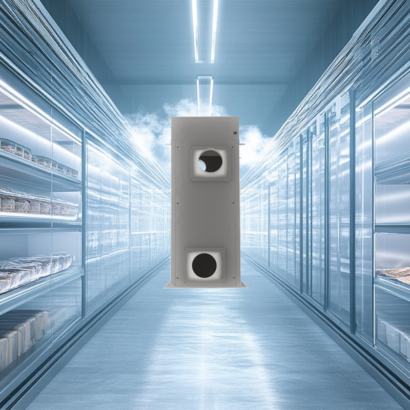 Meat Fish Walk-in Refrigeration Unit Commercial Cold Storage with Frost-Free Technology