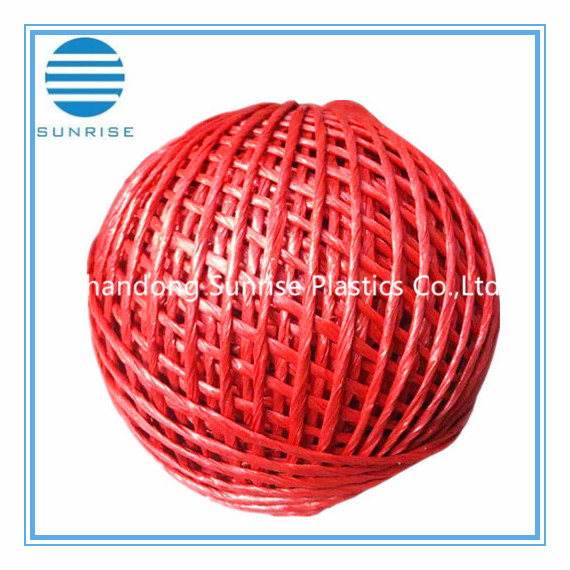 Colore PP Imballaggio Spago Spago per Pressa