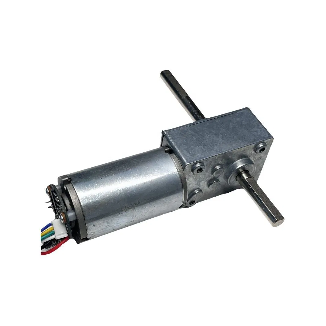 MC4058GF3660 Motore a vite senza fine 24V DC con controller