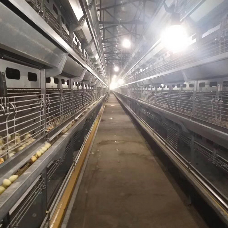 Hot-DIP Galvanized H-Type Poultry Breeding System