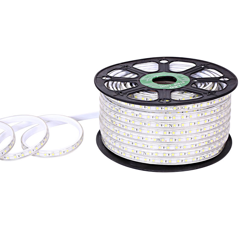 Striscia LED Flessibile AC220V-AC230V Impermeabile Striscia LED SMD Luce da Decorazione Esterna 50m Certificazione CE RoHS