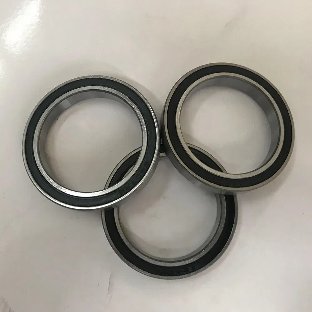 Thin-Wall Deep Groove Ball Bearing 61810 61830m 61896m 618/500m 618/1180m 16010 16030m for Motor