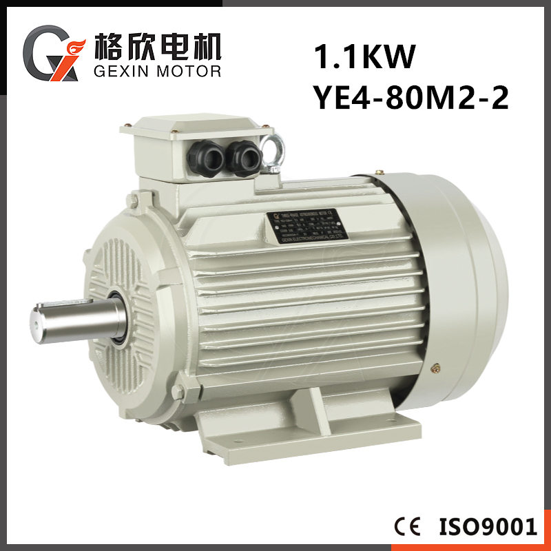 1,1 kW 1 CV 2 CV 3 CV 10 CV Moteur électrique asynchrone triphasé à courant alternatif 3000 tr/min