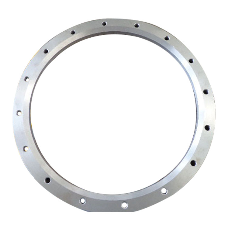 Small Diameter Forged Ring Diameter Less Than 4 M