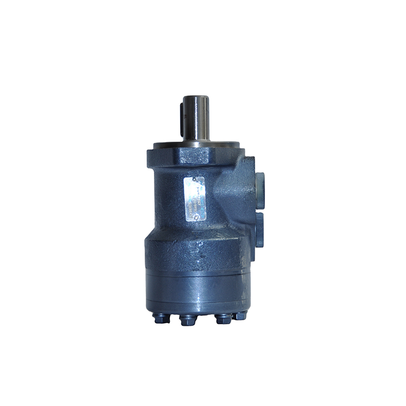 OMR Bm2 Bmr Js 50/80/100/125/160/200/250/315/375 Orbit Motor Smr