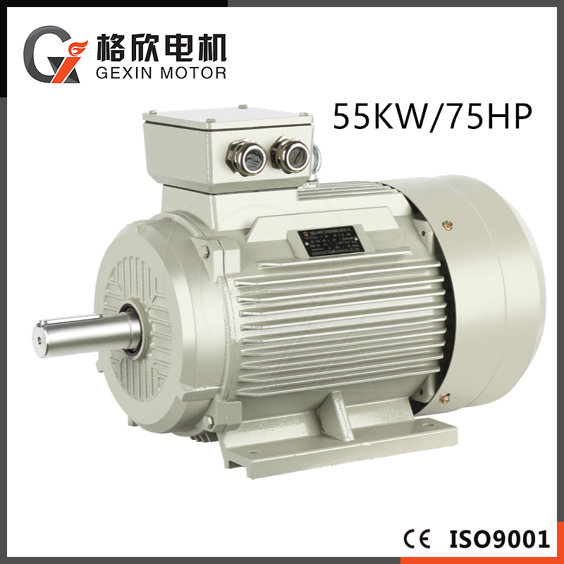 55kw 75HP IE3 IE2 AC Asynchronous Induction 3 Phase Electric Motor