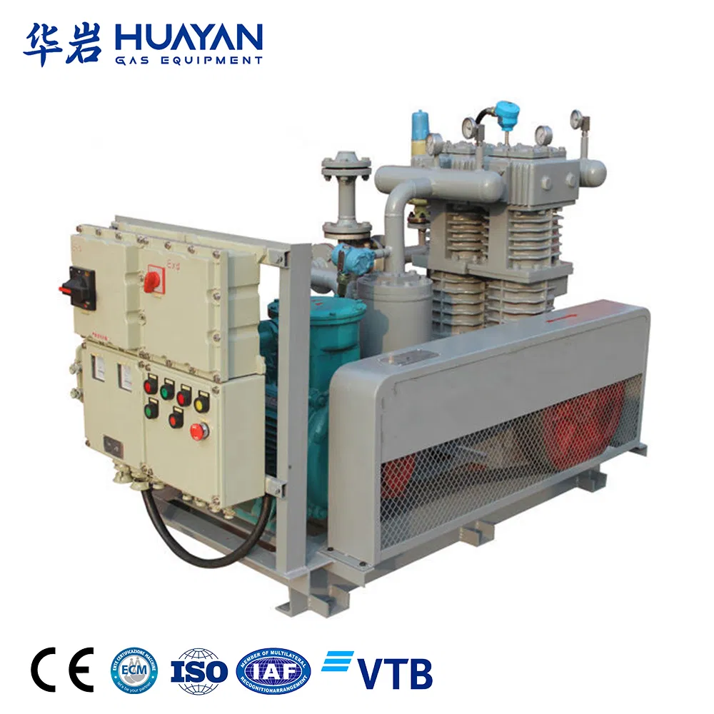 4kw Laboratory Use Customized Hydrogen CO2 Natural Gas Piston Compressor