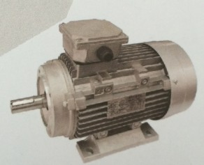 380V Ye2 Series Three-Phase Asynchronous Motor with CE RoHS