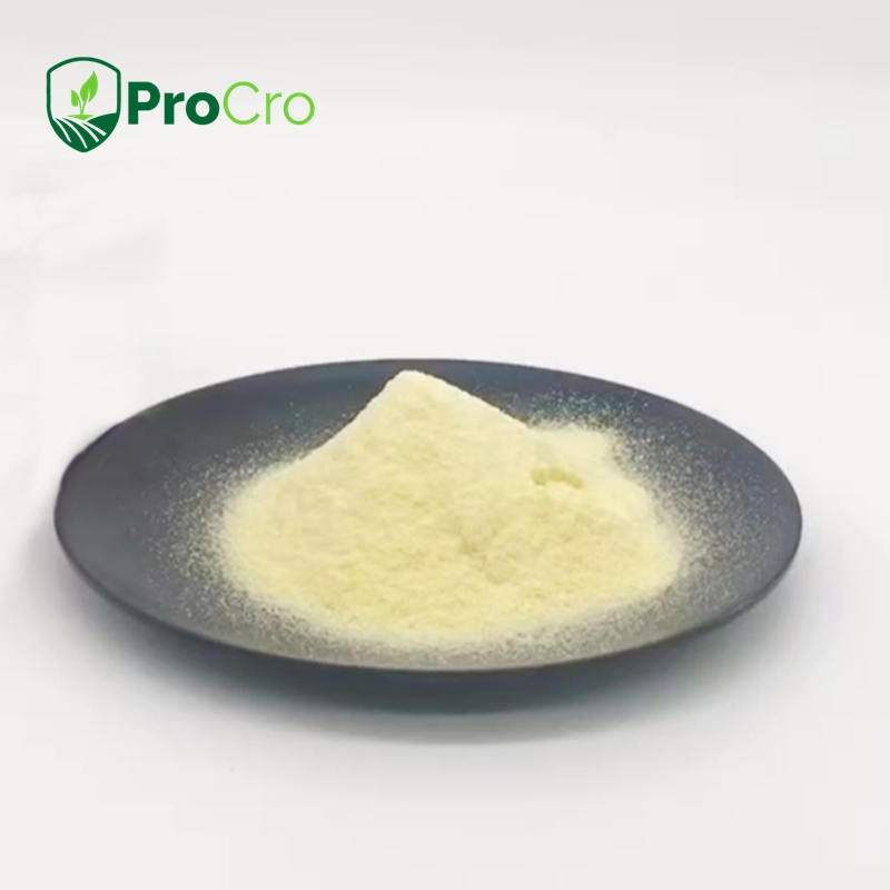 Mancozeb 88%TC 70% 80%WP 80%WDG Agricultural Fungicide