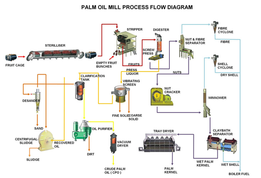Linea di produzione di olio di palma rossa africana da 1-10 t/h, macchina per la spremitura dell'olio, impianto di produzione dell'olio, macchina per la lavorazione del frutto della palma, impianto di estrazione dell'olio di palma