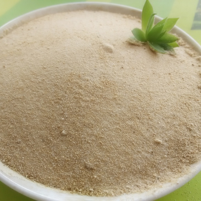 Amino Acid Powder 45% Organic Fertilizer Top Quality
