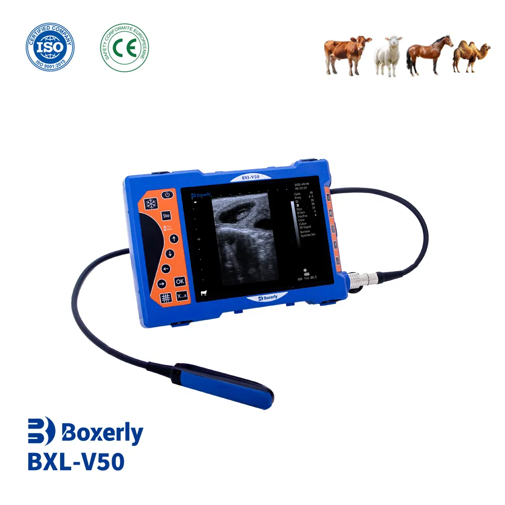 Bxl-V50 Veterinary Ultrasound Scanner Pregnancy Machine for Large Animals (Cattle, Horse, Equine, Goat Swine)