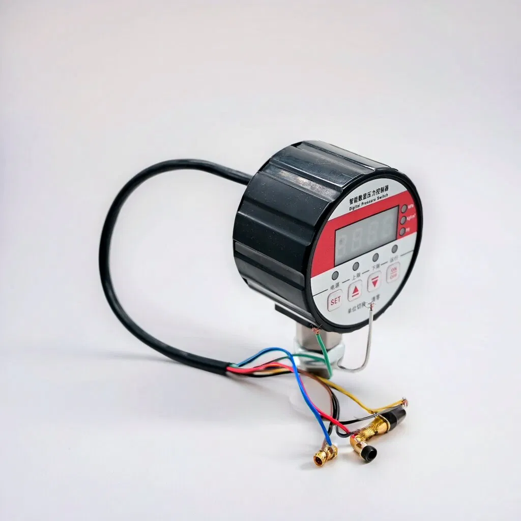 Digital Pressure Gauge XY80-D