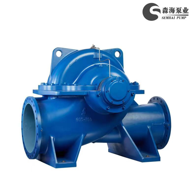 Horizontal Split-Casing Centrifugal Pump with Electric Motor