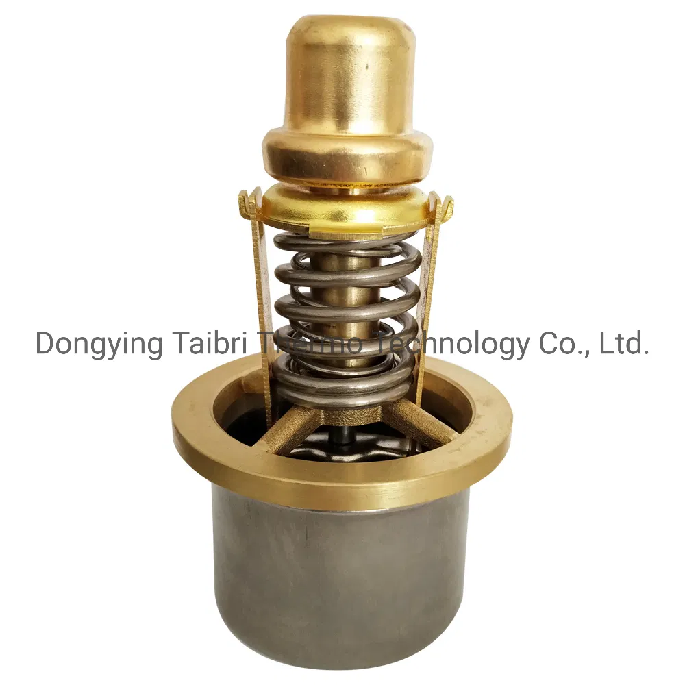 22331-002 Air Compressor Thermostatic Valve Element for Quincy