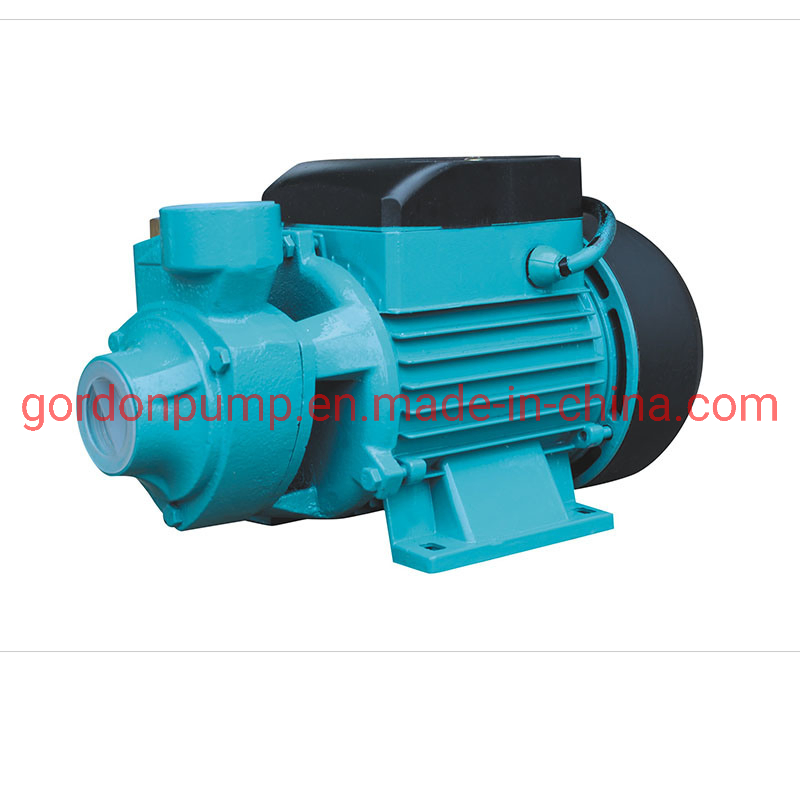 QB60 QB70 QB80 Copper Wire Electric Household Peripheral Pump