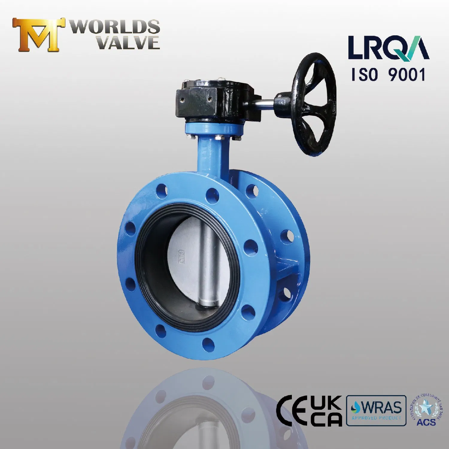 Replaceable Rubber Lined Double Flanged Butterfly Valve for Water Treatment
