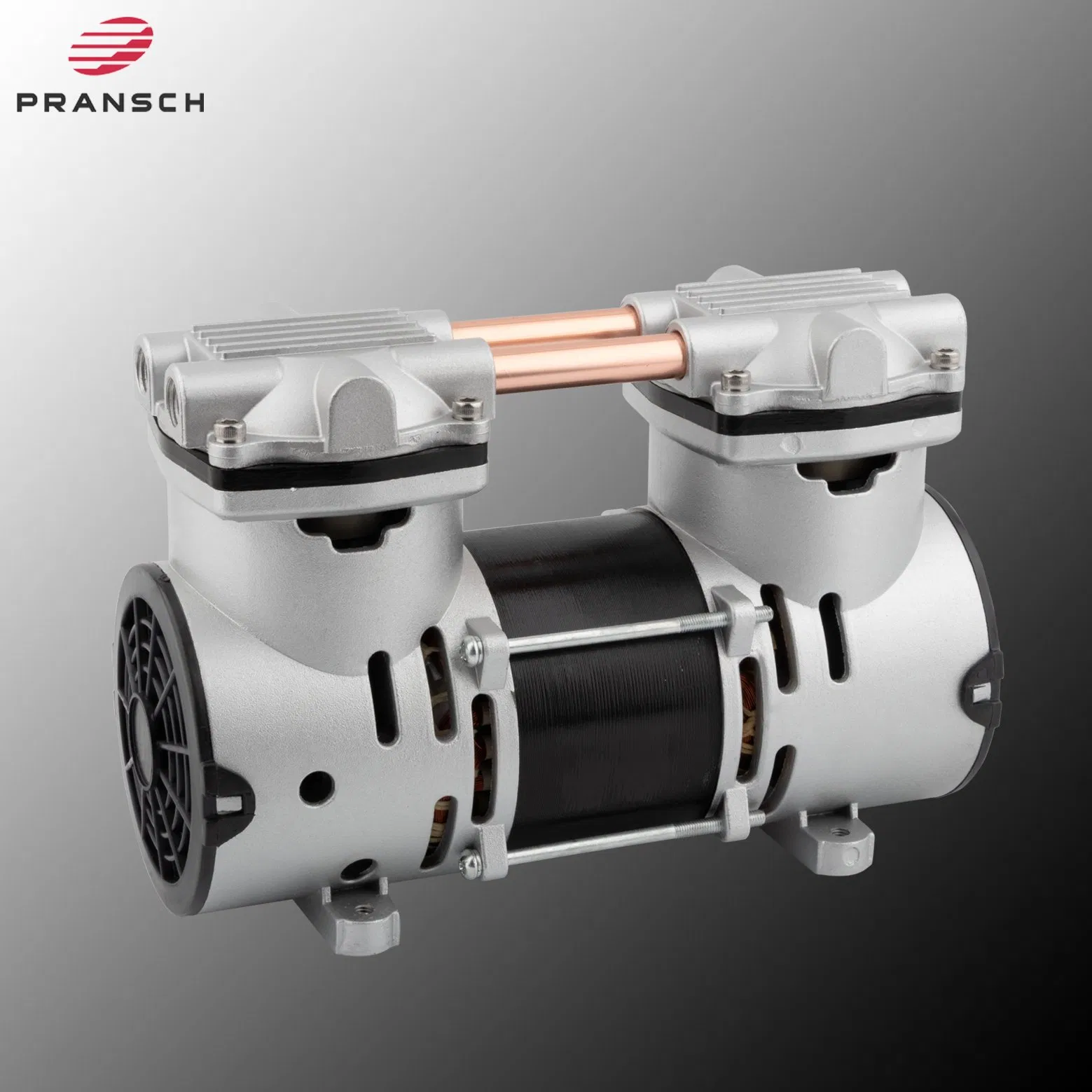 Rnc0320 Compressore d'aria a pistone oscillante senza olio per concentratore di O2