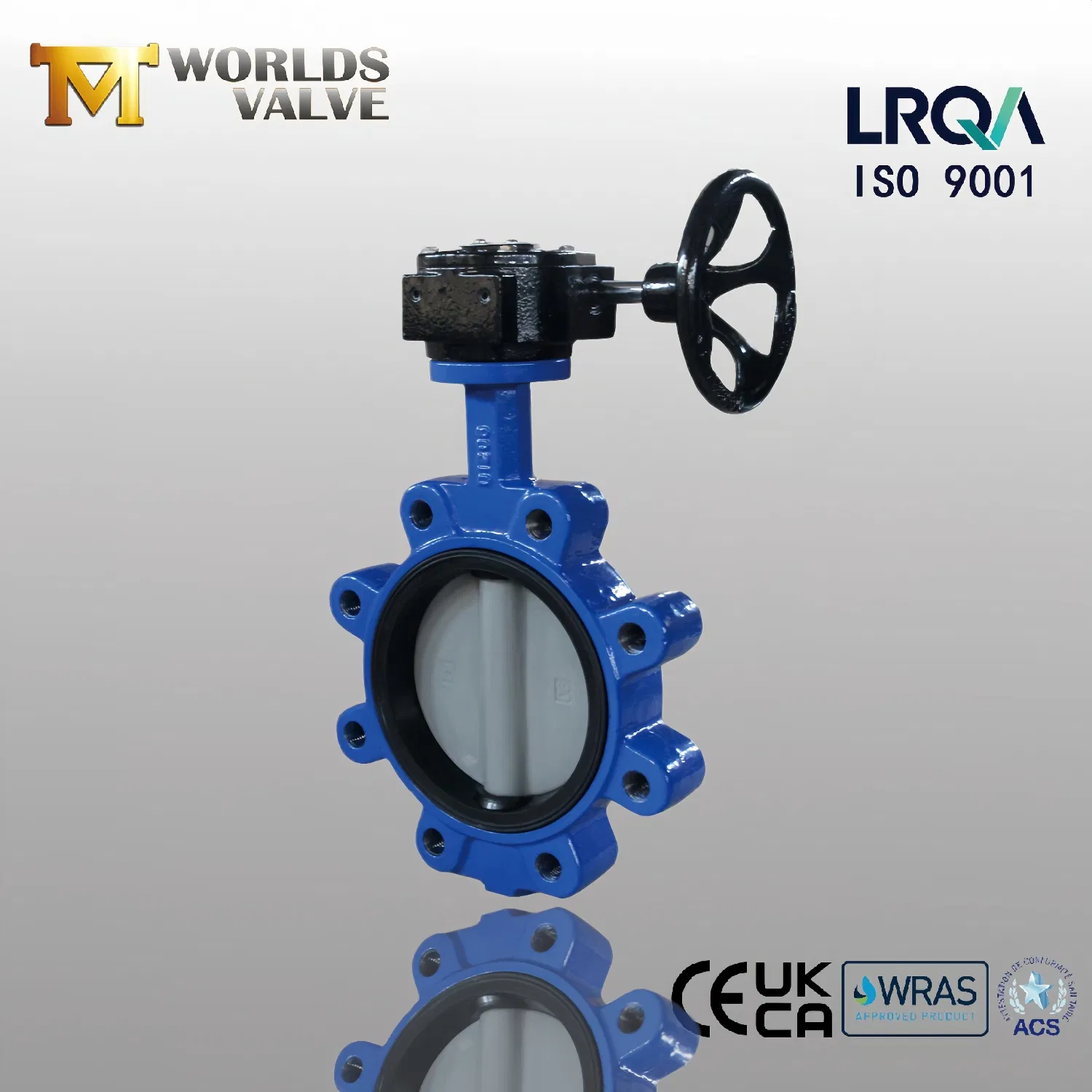 Nylon Coating Coated Disc Lug Type Butterfly Valve with Gearbox Operator