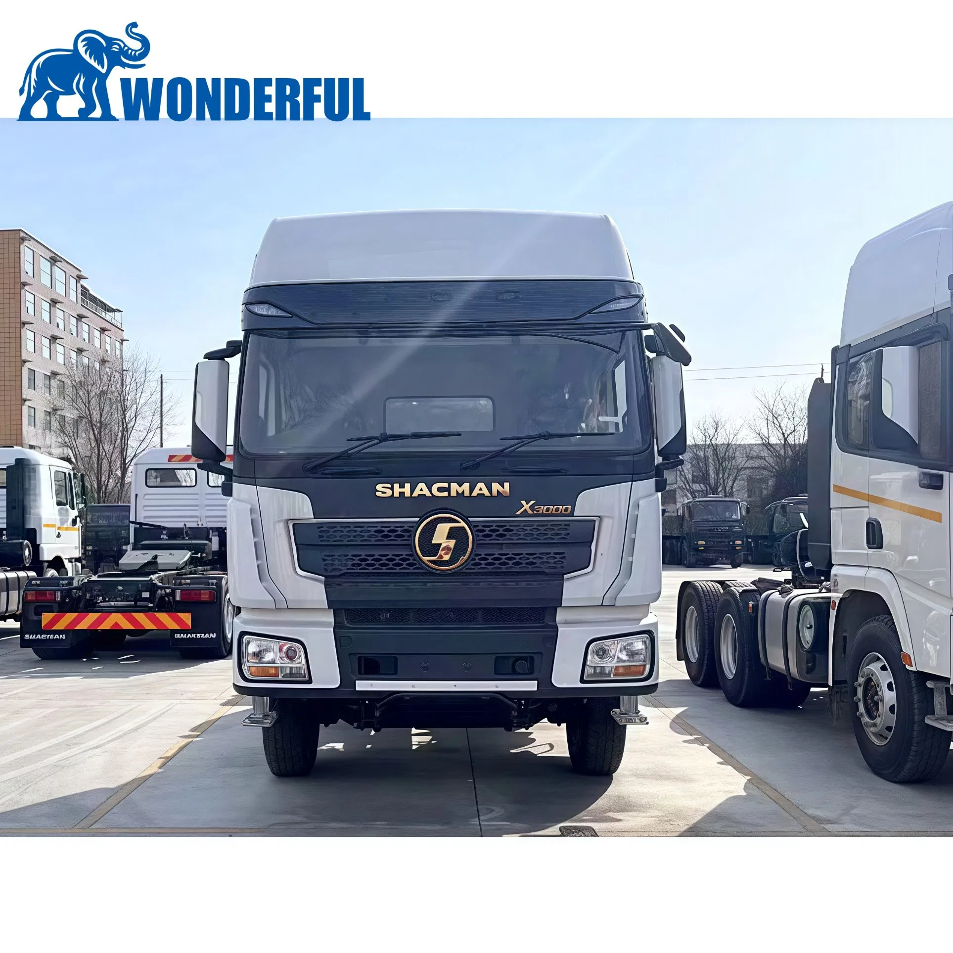 Shacman Sinotruk HOWO 2025 Weichai Diesel CNG 10 ruote Heavy Duty F3000 H3000 6X4 8X4 400HP 430HP Trattore per semirimorchio testa motrice