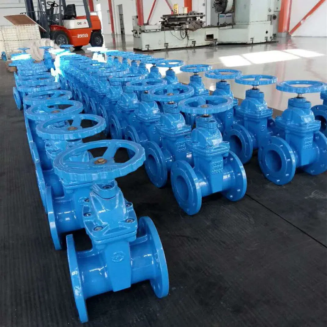 Awwa/DIN/ANSI/Mssp Cast/Ductile Iron Resilient Seated Flange Gate Valve